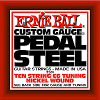 ERNIE BALL P02501